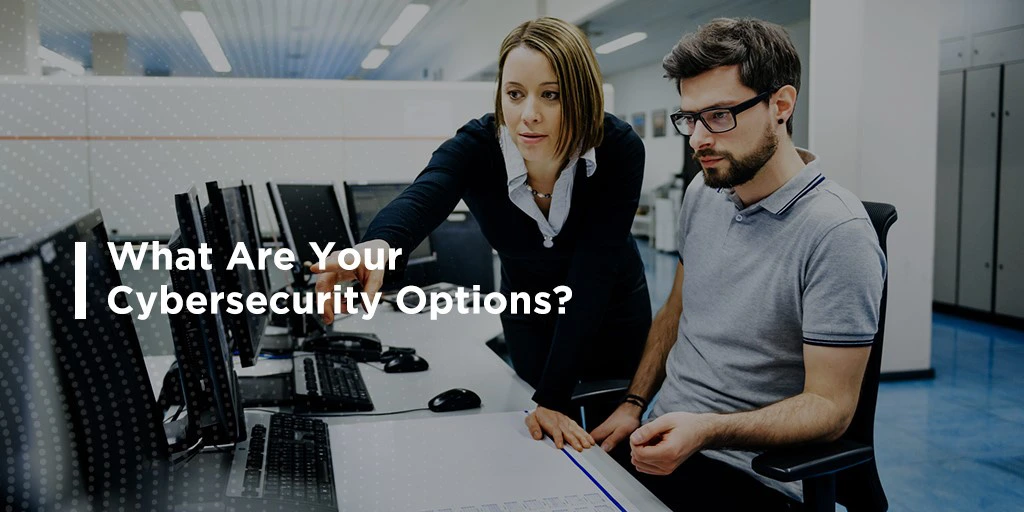What are your cybersecurity options?